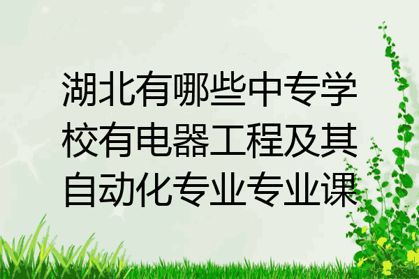 湖北有哪些中专学校有电器工程及其自动化专业专业课