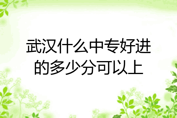 武汉什么中专好进的多少分可以上