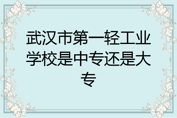 武汉市第一轻工业学校是中专还是大专