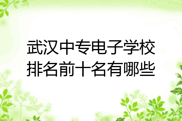 武汉中专电子学校排名前十名有哪些