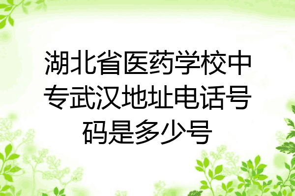 湖北省医药学校中专武汉地址电话号码是多少号