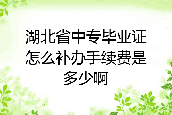 湖北省中专毕业证怎么补办手续费是多少啊