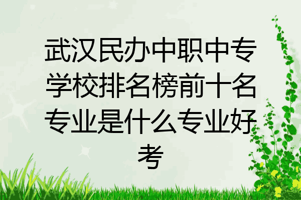 武汉民办中职中专学校排名榜前十名专业是什么专业好考