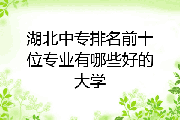 湖北中专排名前十位专业有哪些好的大学