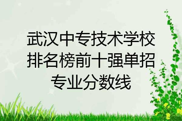 武汉中专技术学校排名榜前十强单招专业分数线