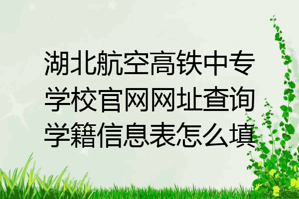 湖北航空高铁中专学校官网网址查询学籍信息表怎么填