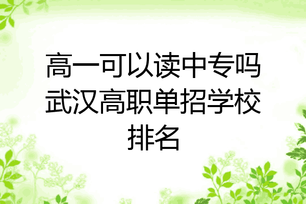 高一可以读中专吗武汉高职单招学校排名
