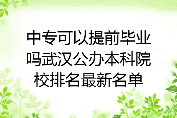 中专可以提前毕业吗武汉公办本科院校排名最新名单