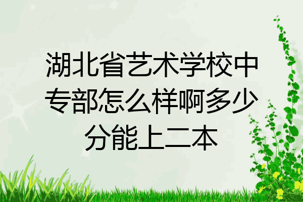 湖北省艺术学校中专部怎么样啊多少分能上二本