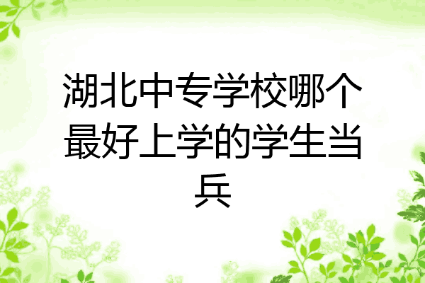 湖北中专学校哪个最好上学的学生当兵