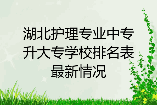 湖北护理专业中专升大专学校排名表最新情况