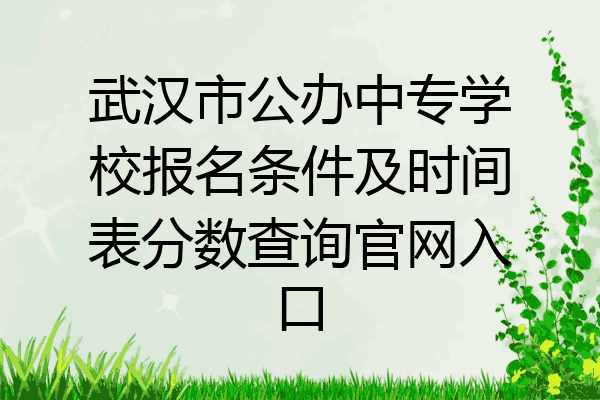 武汉市公办中专学校报名条件及时间表分数查询官网入口