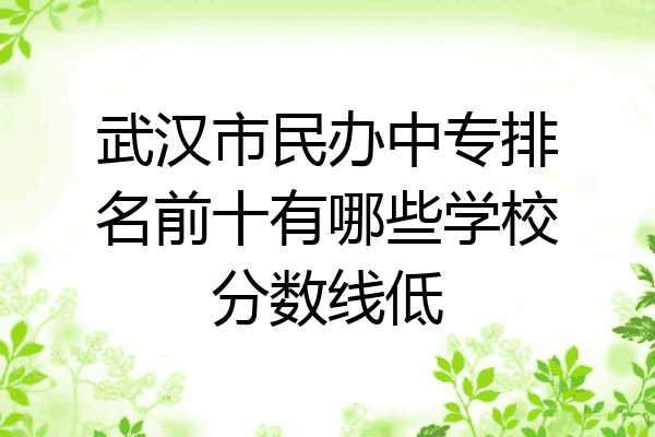 武汉市民办中专排名前十有哪些学校分数线低