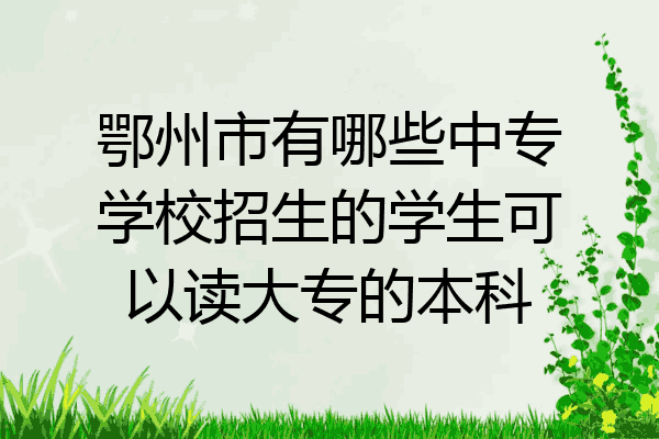 鄂州市有哪些中专学校招生的学生可以读大专的本科