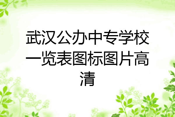 武汉公办中专学校一览表图标图片高清