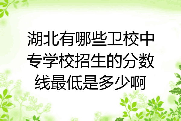 湖北有哪些卫校中专学校招生的分数线最低是多少啊