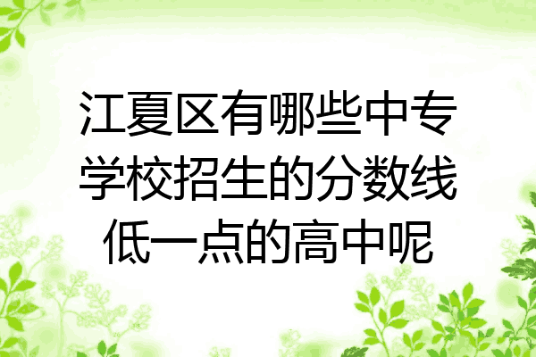 江夏区有哪些中专学校招生的分数线低一点的高中呢