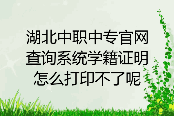 湖北中职中专官网查询系统学籍证明怎么打印不了呢