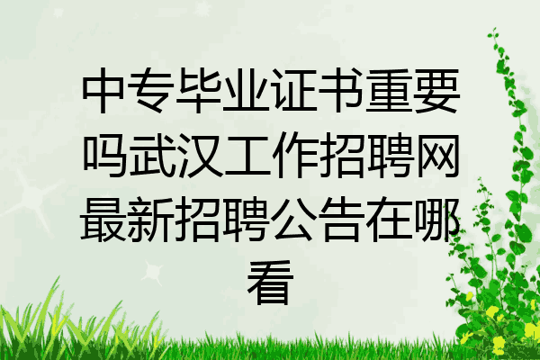中专毕业证书重要吗武汉工作招聘网最新招聘公告在哪看