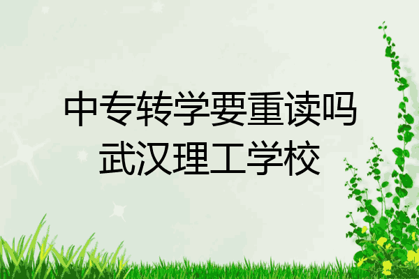 中专转学要重读吗武汉理工学校