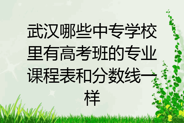 武汉哪些中专学校里有高考班的专业课程表和分数线一样