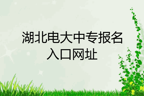 湖北电大中专报名入口网址