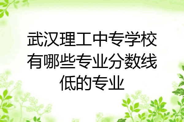 武汉理工中专学校有哪些专业分数线低的专业