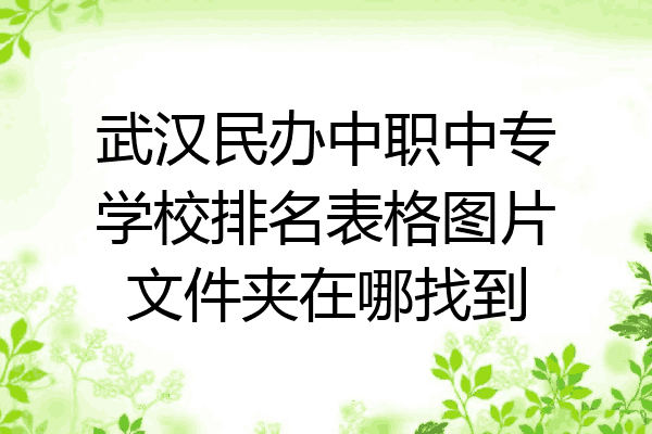 武汉民办中职中专学校排名表格图片文件夹在哪找到