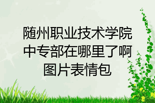 随州职业技术学院中专部在哪里了啊图片表情包