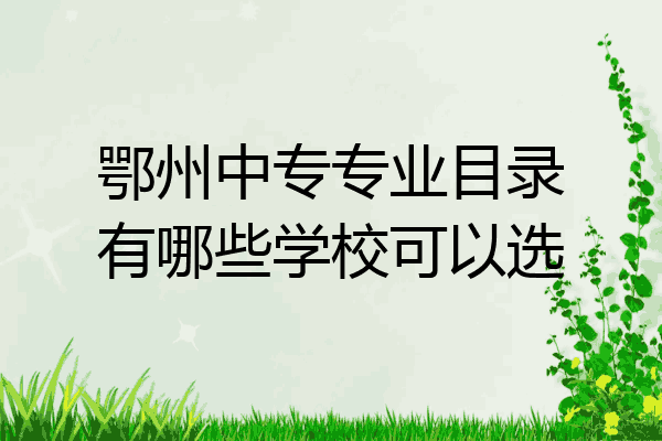 鄂州中专专业目录有哪些学校可以选