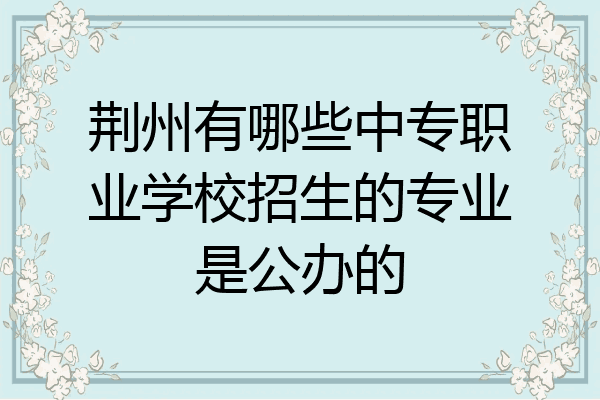 荆州有哪些中专职业学校招生的专业是公办的