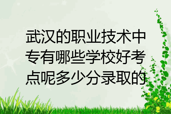 武汉的职业技术中专有哪些学校好考点呢多少分录取的