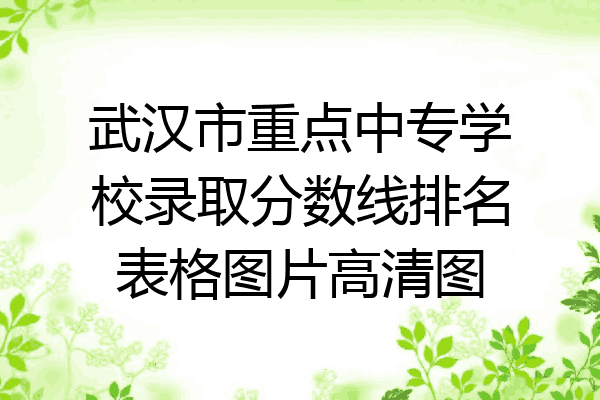 武汉市重点中专学校录取分数线排名表格图片高清图