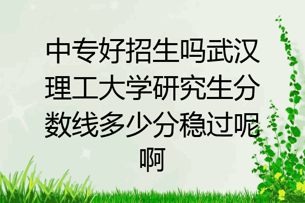 中专好招生吗武汉理工大学研究生分数线多少分稳过呢啊