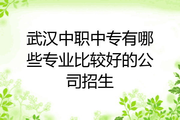 武汉中职中专有哪些专业比较好的公司招生