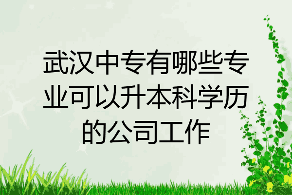武汉中专有哪些专业可以升本科学历的公司工作