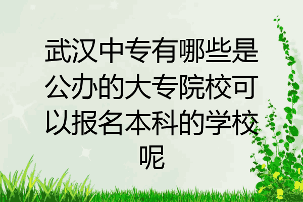 武汉中专有哪些是公办的大专院校可以报名本科的学校呢