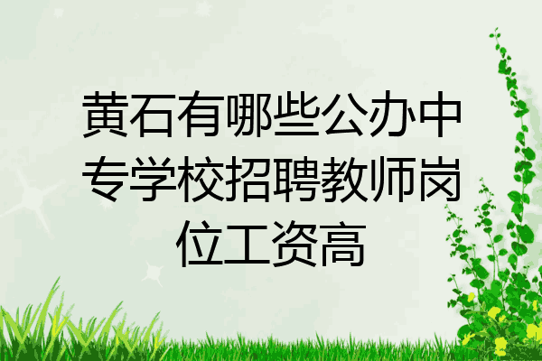 黄石有哪些公办中专学校招聘教师岗位工资高