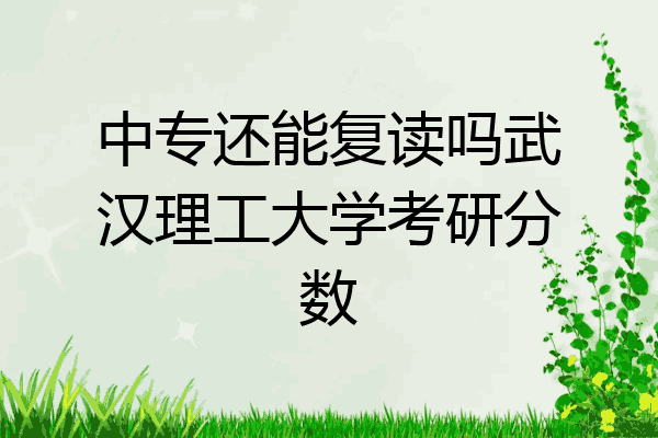 中专还能复读吗武汉理工大学考研分数