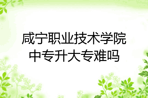 咸宁职业技术学院中专升大专难吗