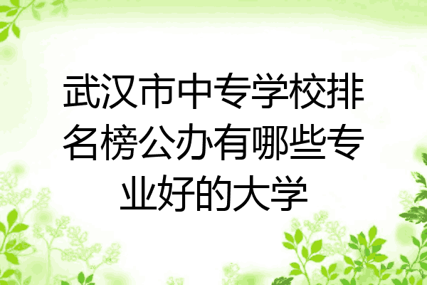 武汉市中专学校排名榜公办有哪些专业好的大学
