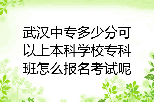 武汉中专多少分可以上本科学校专科班怎么报名考试呢