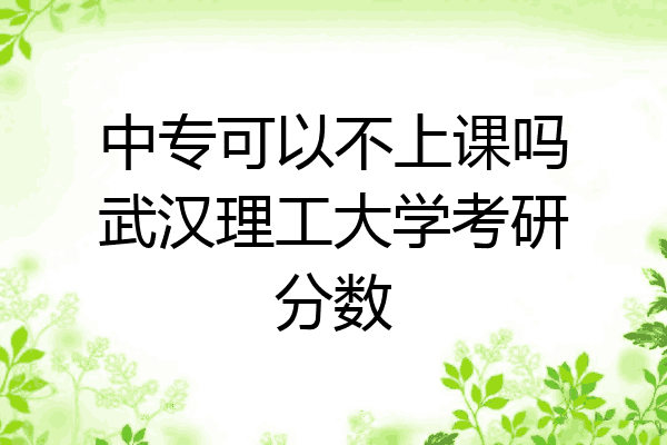 中专可以不上课吗武汉理工大学考研分数