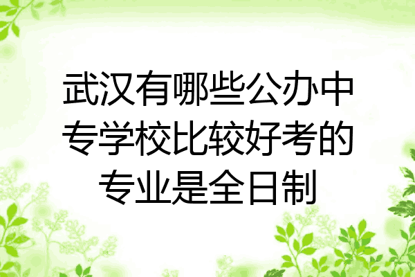 武汉有哪些公办中专学校比较好考的专业是全日制