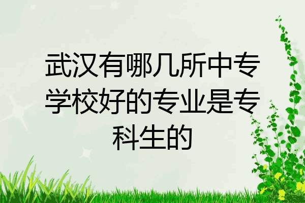 武汉有哪几所中专学校好的专业是专科生的