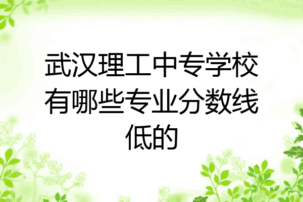 武汉理工中专学校有哪些专业分数线低的