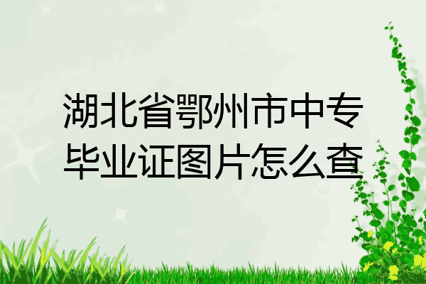 湖北省鄂州市中专毕业证图片怎么查