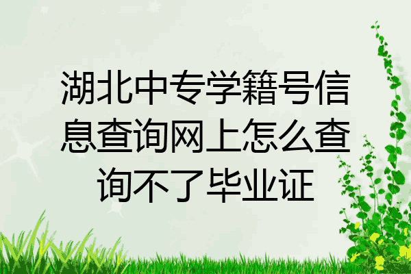 湖北中专学籍号信息查询网上怎么查询不了毕业证