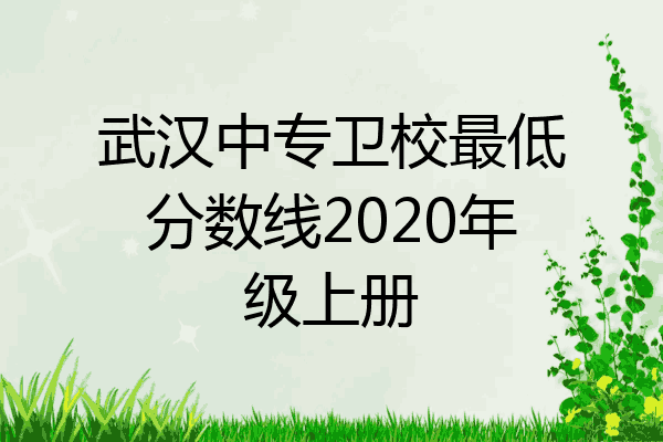 武汉中专卫校最低分数线2020年级上册