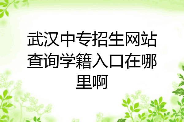 武汉中专招生网站查询学籍入口在哪里啊